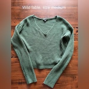Green V-neck sweater by wild fable